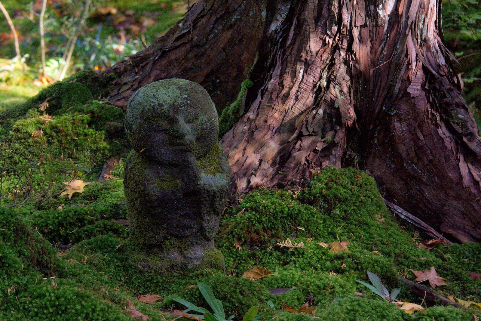 Sanzen-in: Stillness in a Mountain Village