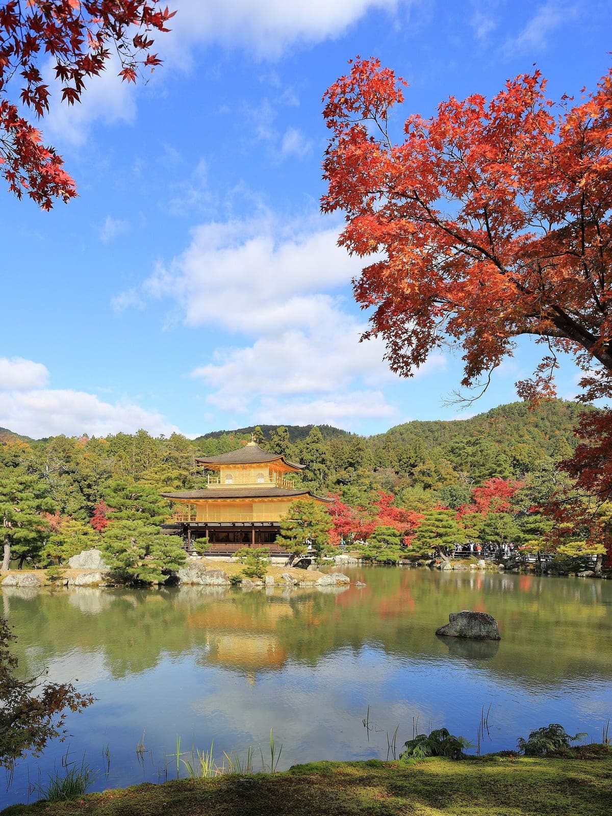 Kinkaku-ji framed by autumn color